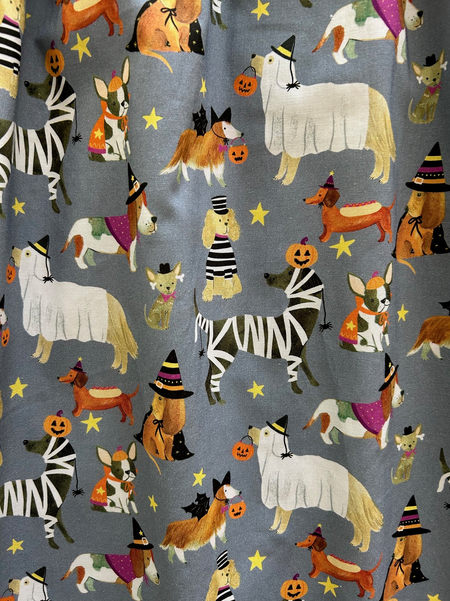 close up of dogs halloween dress showing the dogs drssed up in halloween costumes