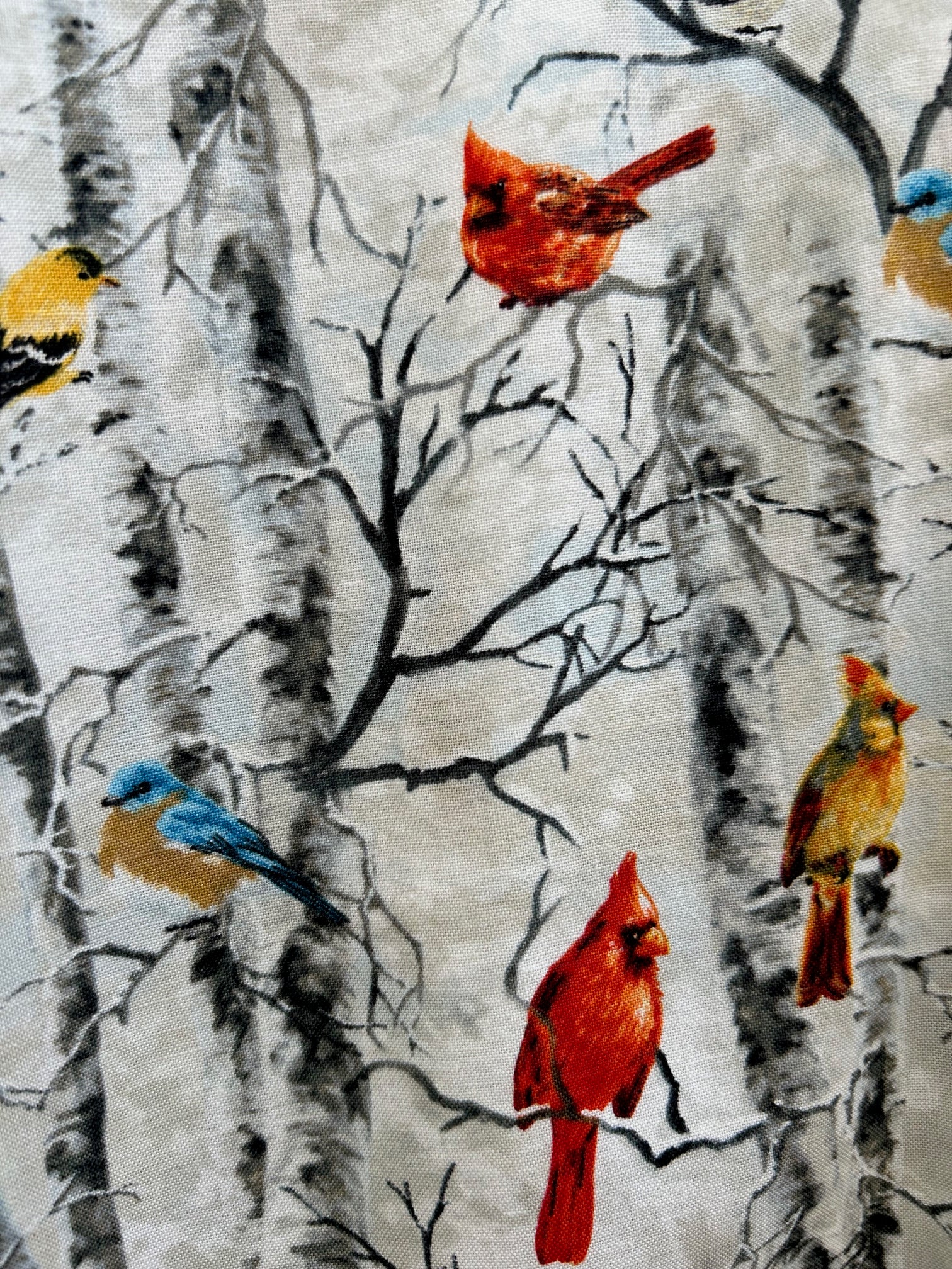 close up of birds on branches print