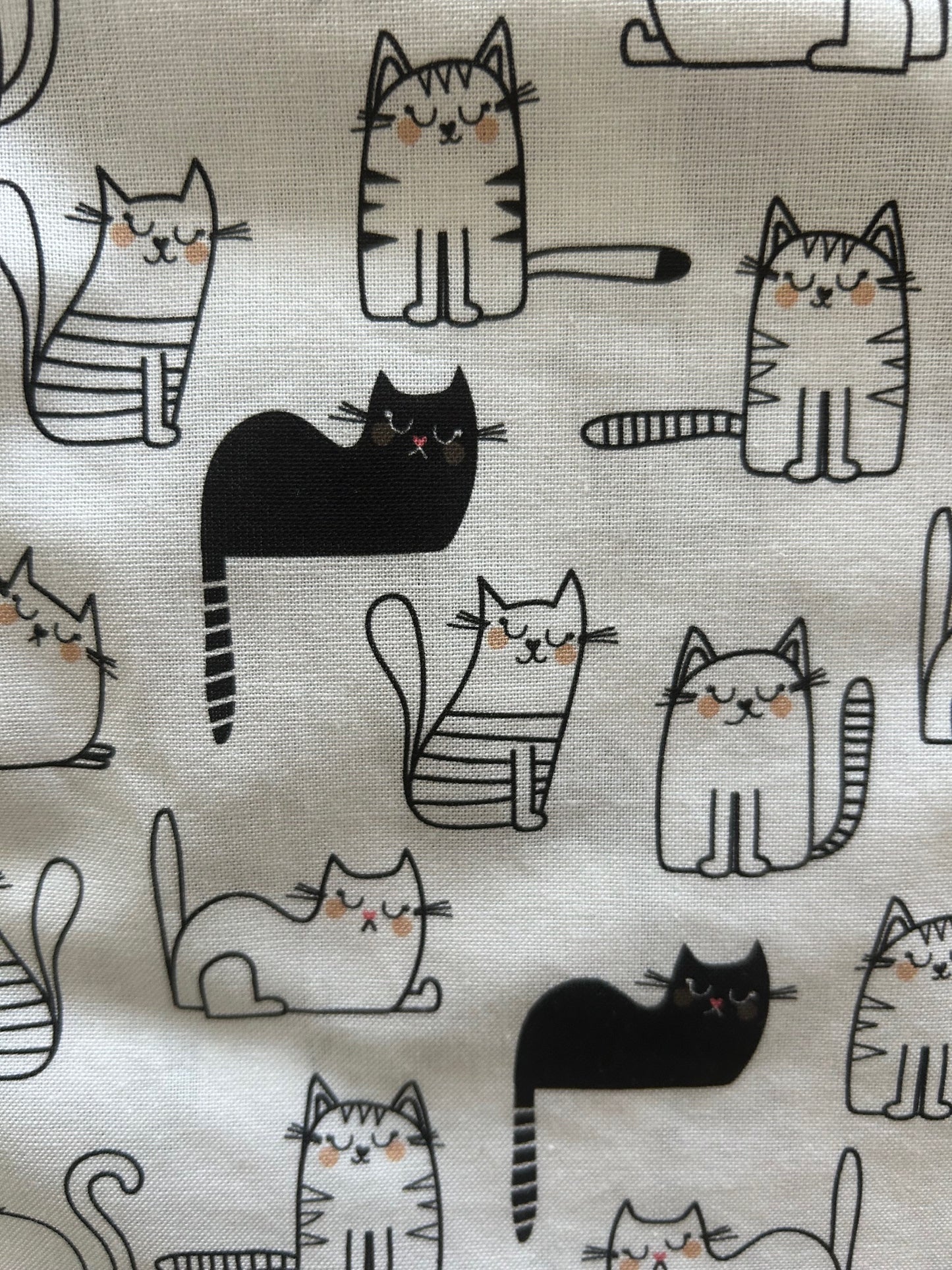 close up of cats bow top showing black and white cats laying around